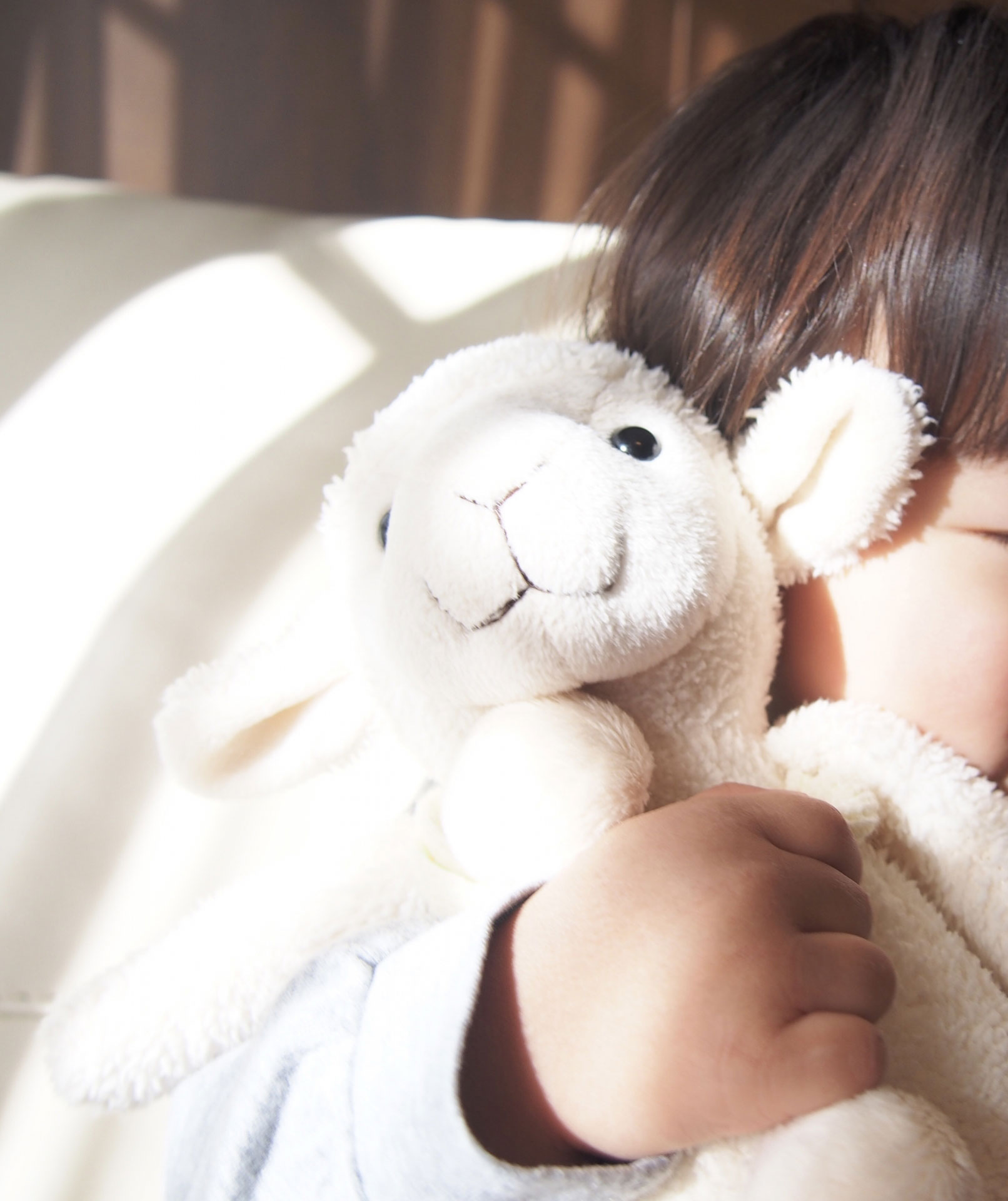 株式会社バディー